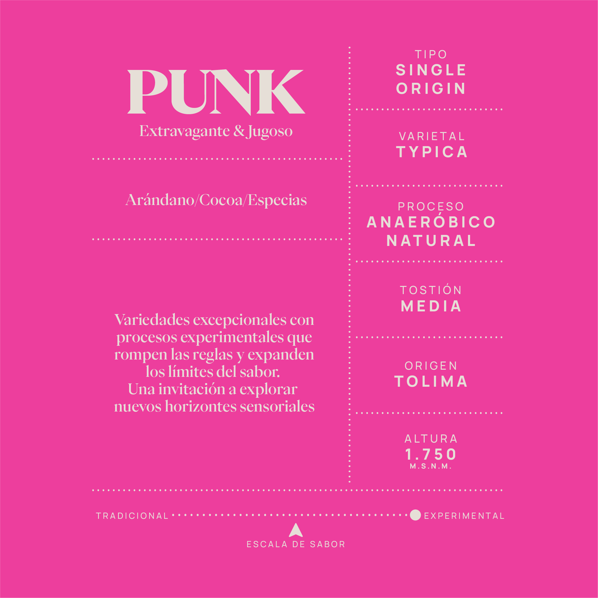 Punk Typica