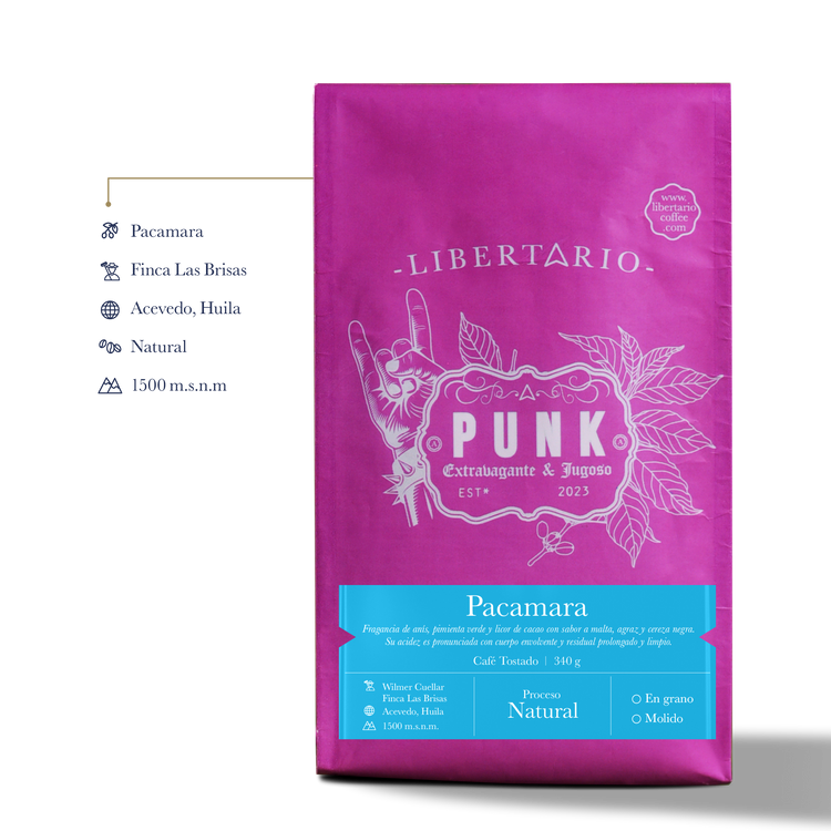 Punk